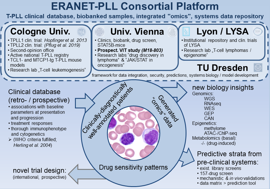 ERANET-PLL organigram