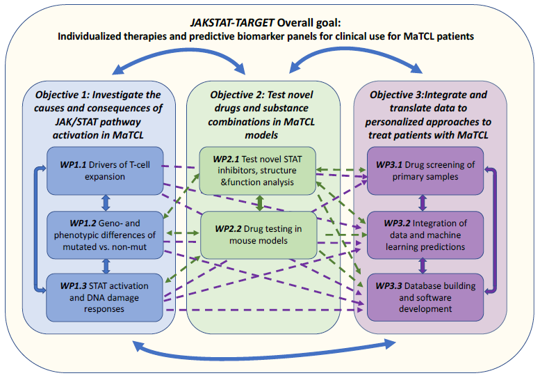 JAKSTAT-TARGET objectives
